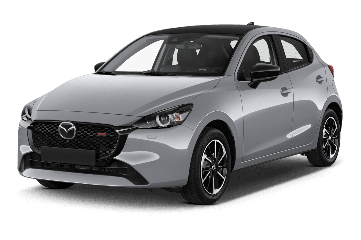 Sitzbezuege Mazda 2, 109,00 €