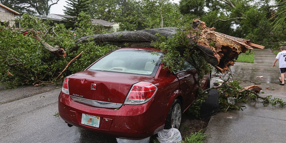 Wann zahlt die Versicherung bei Sturmschäden am Auto?