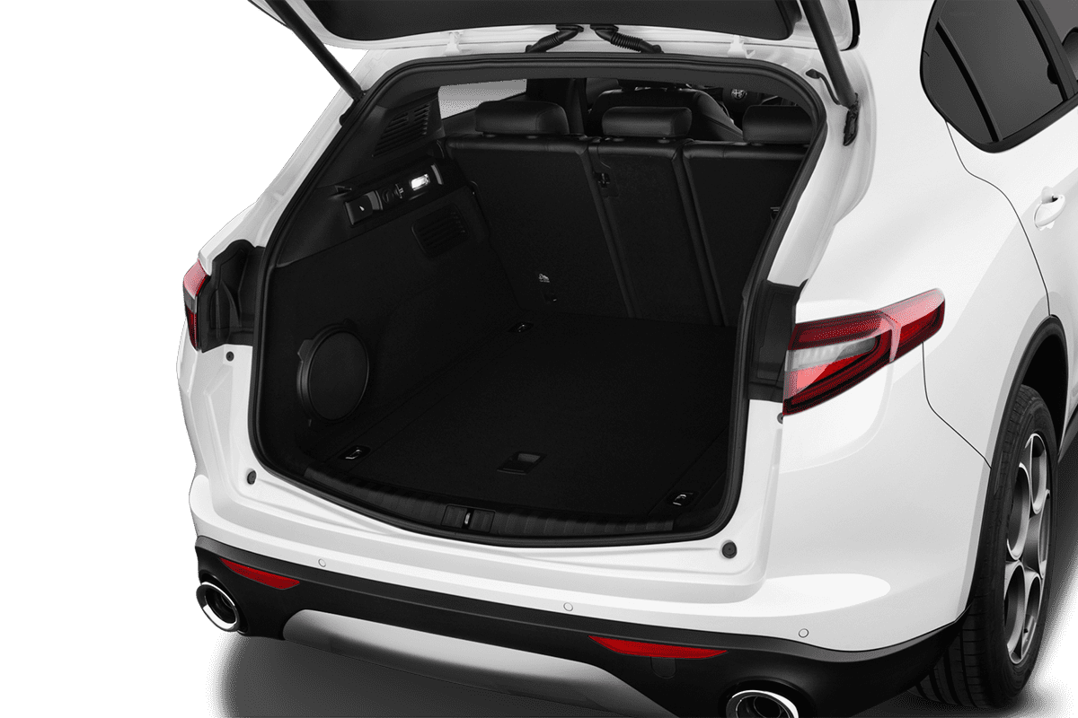 trunk