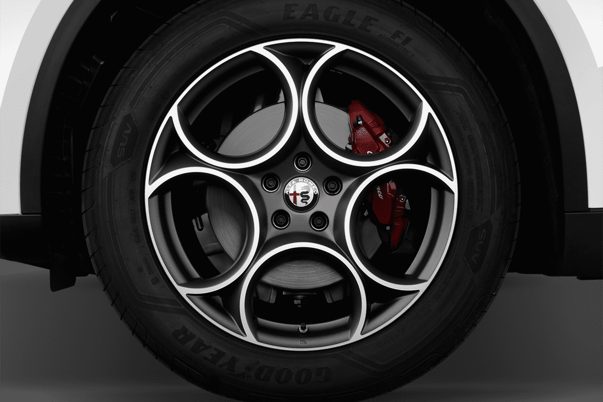 wheelcap