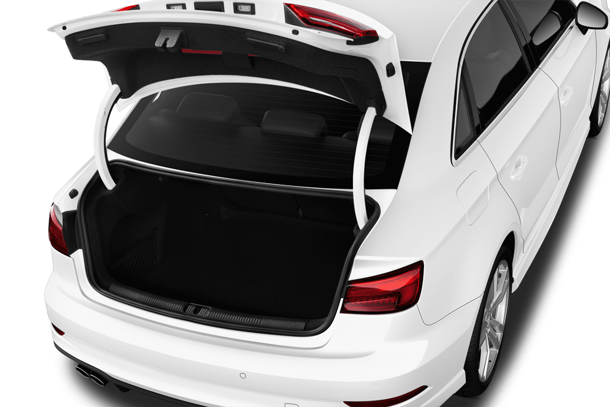 trunk