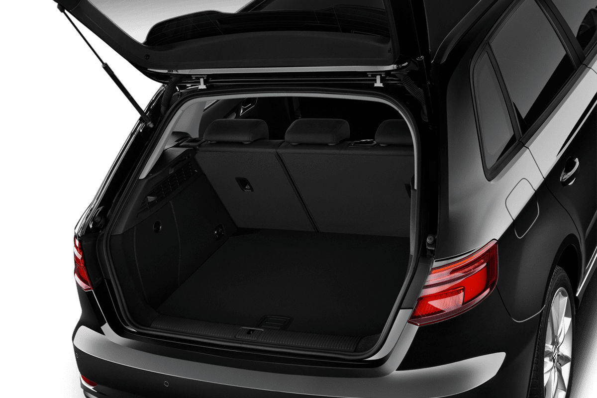 trunk