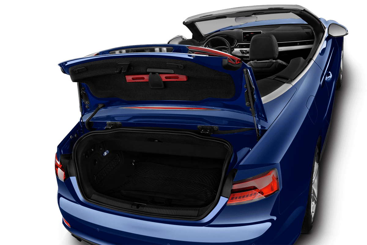 trunk