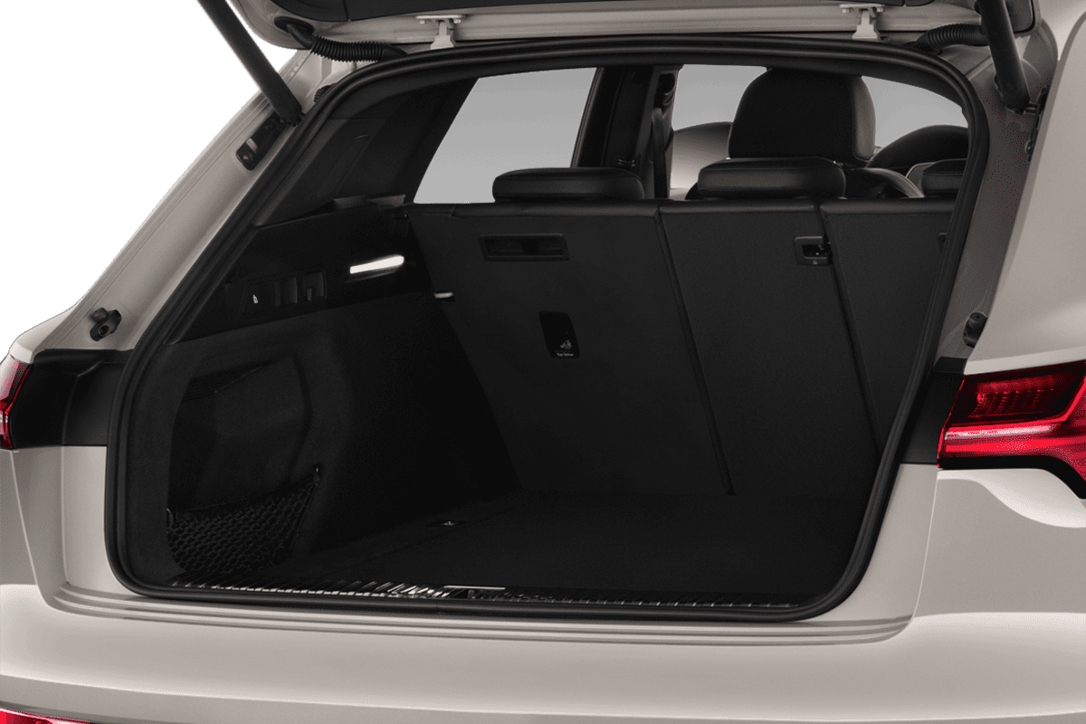 trunk