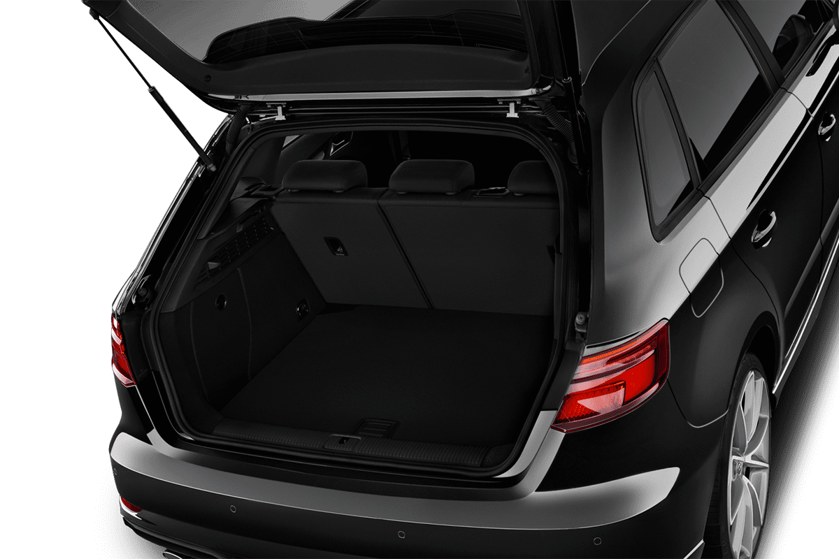 trunk