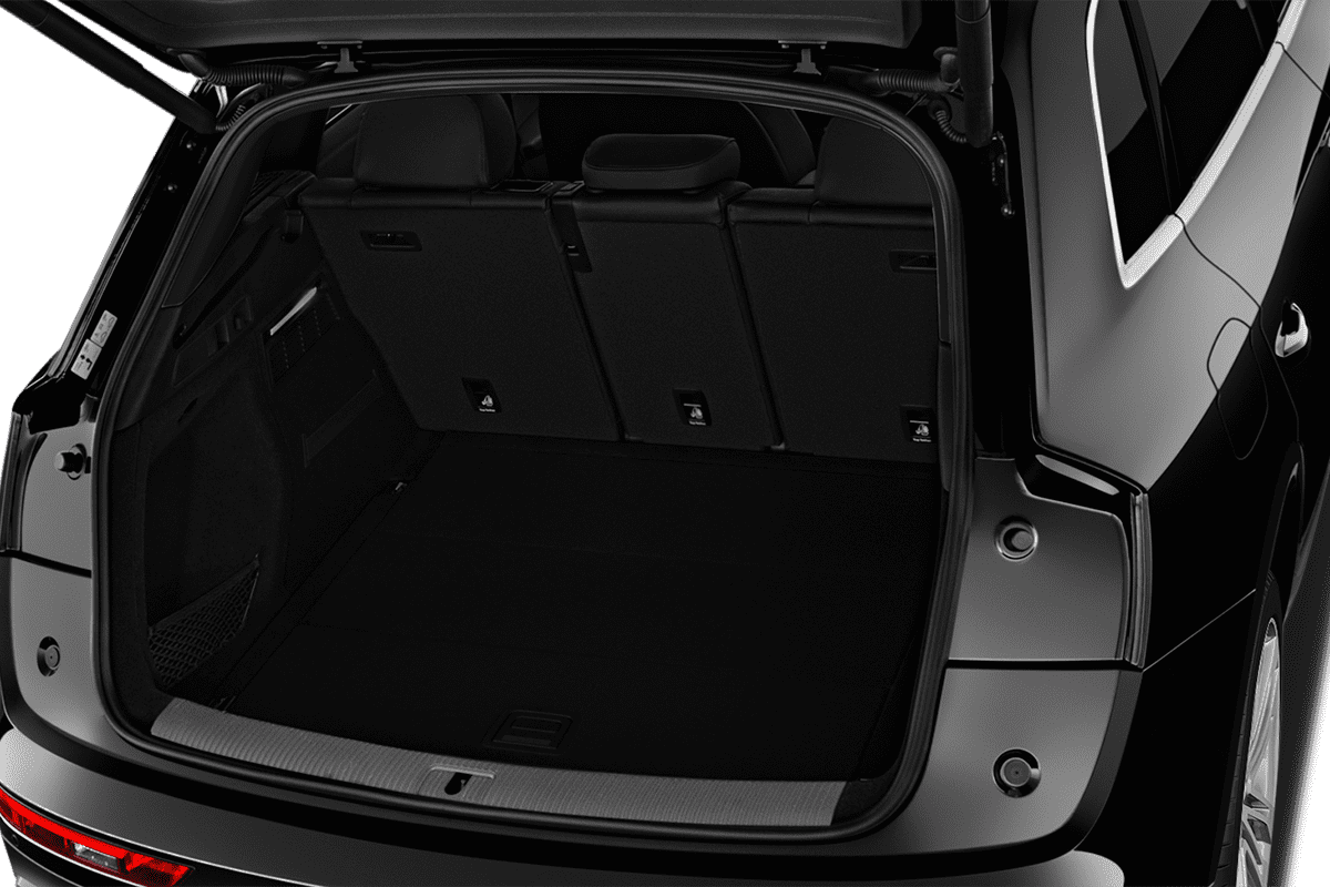 trunk