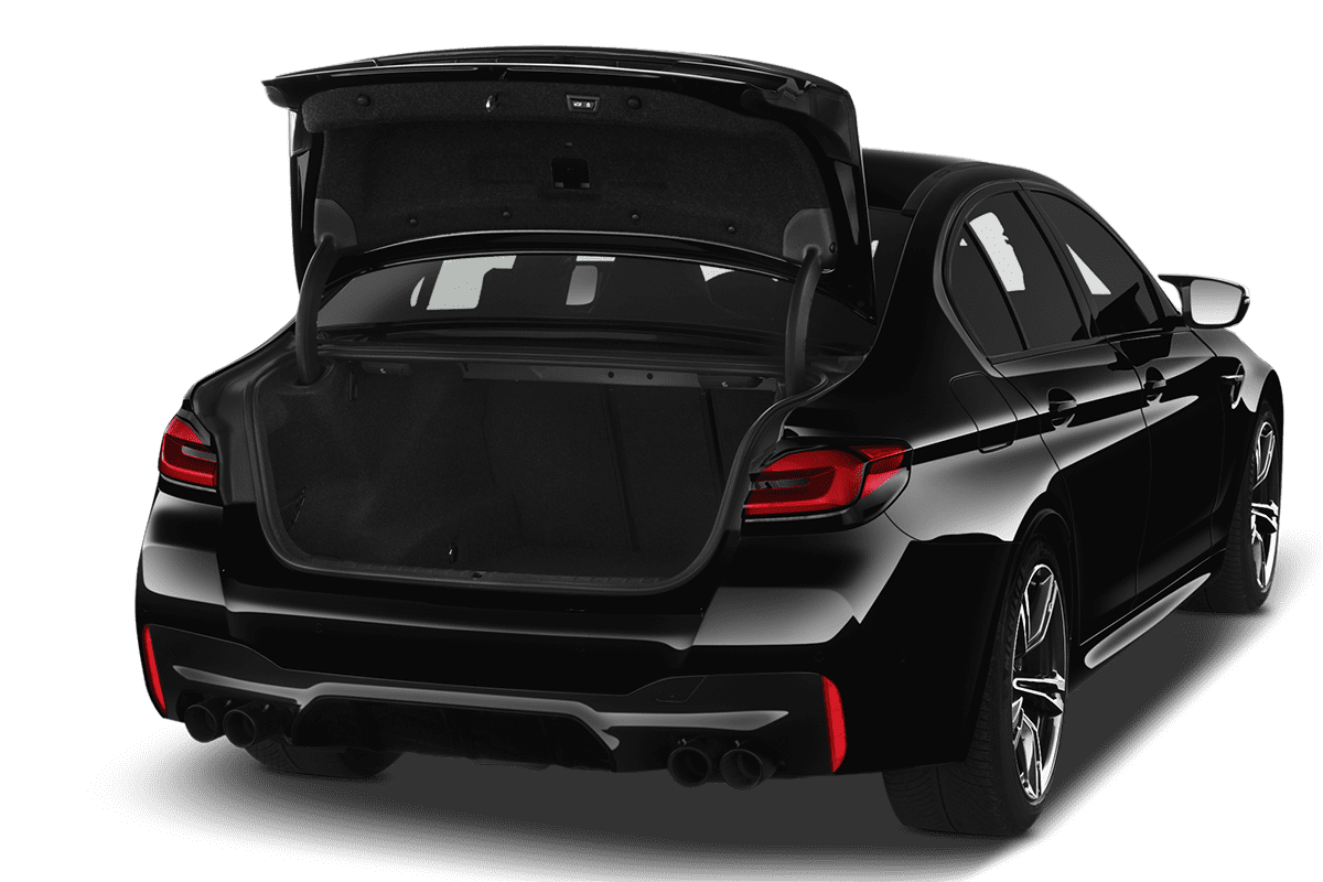 trunk