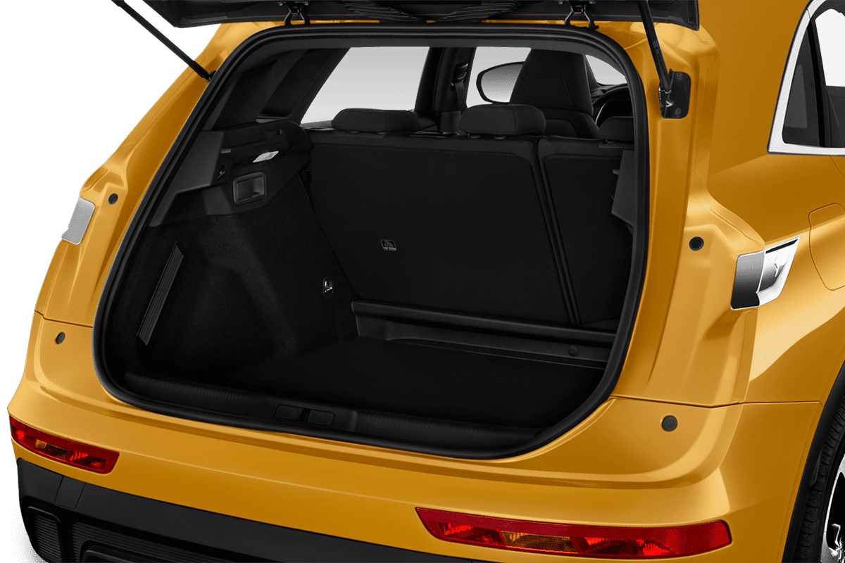 trunk