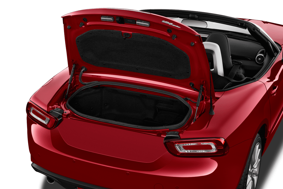 trunk