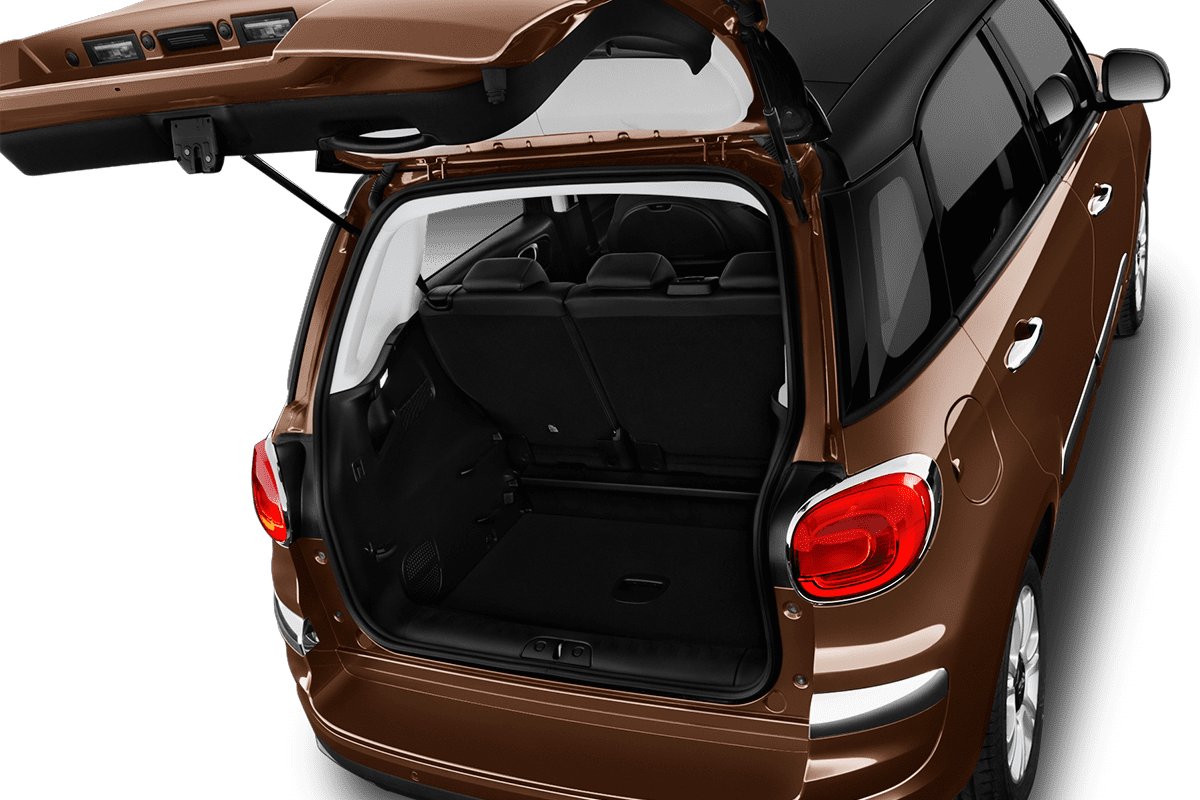 trunk