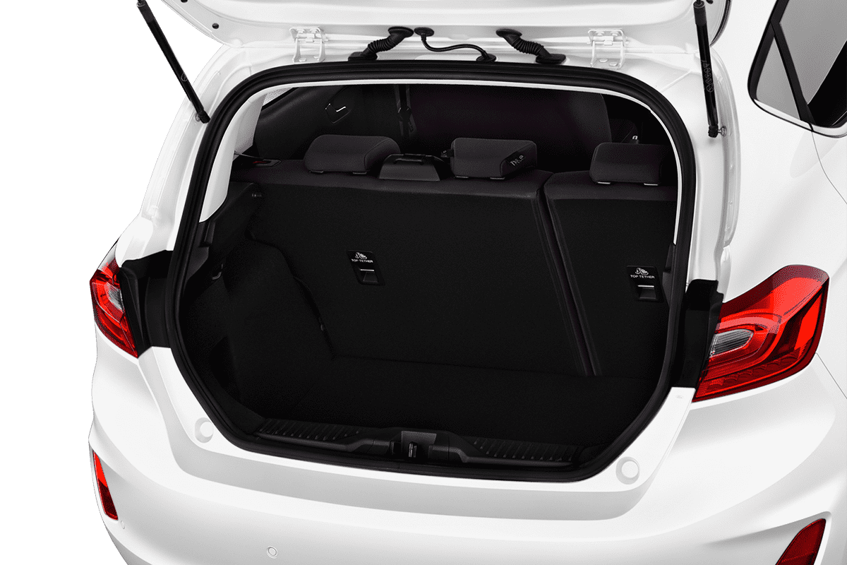 trunk
