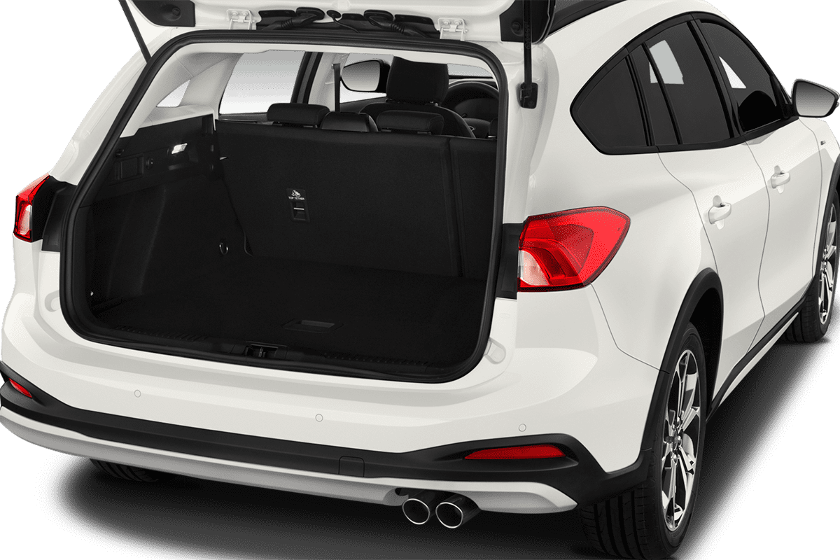 trunk