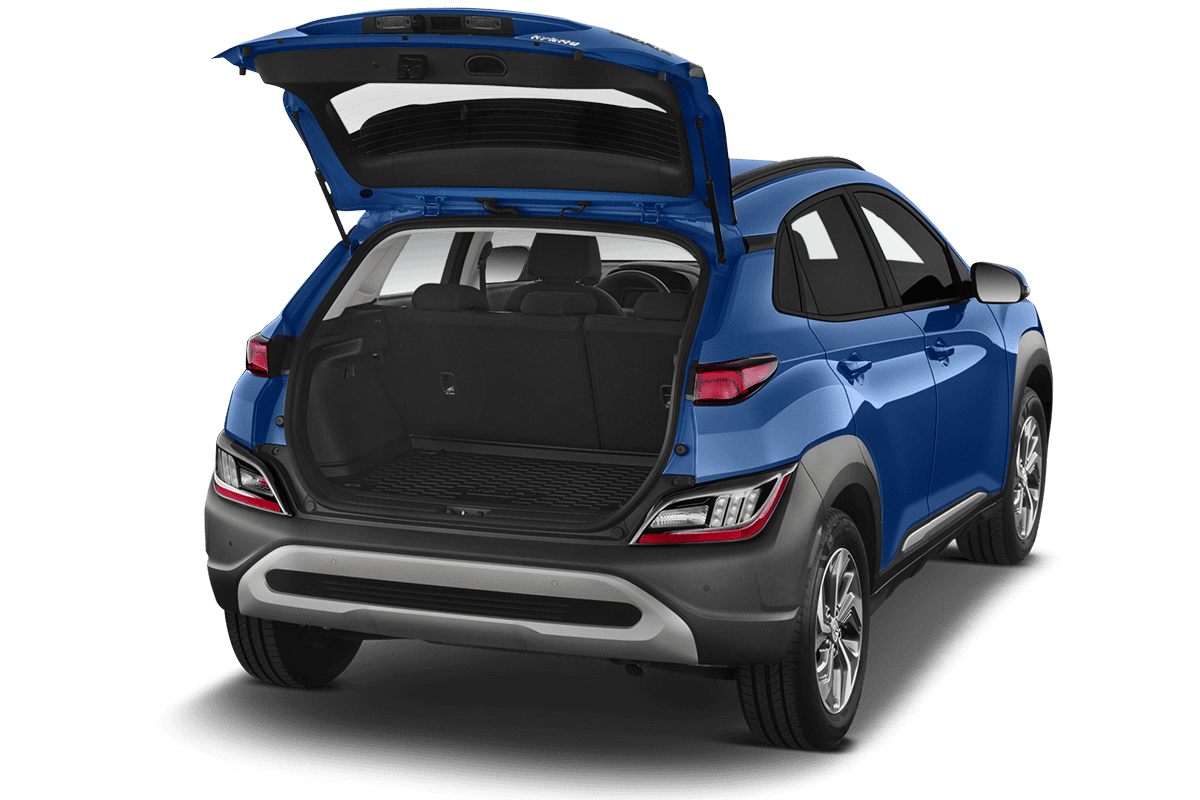 trunk