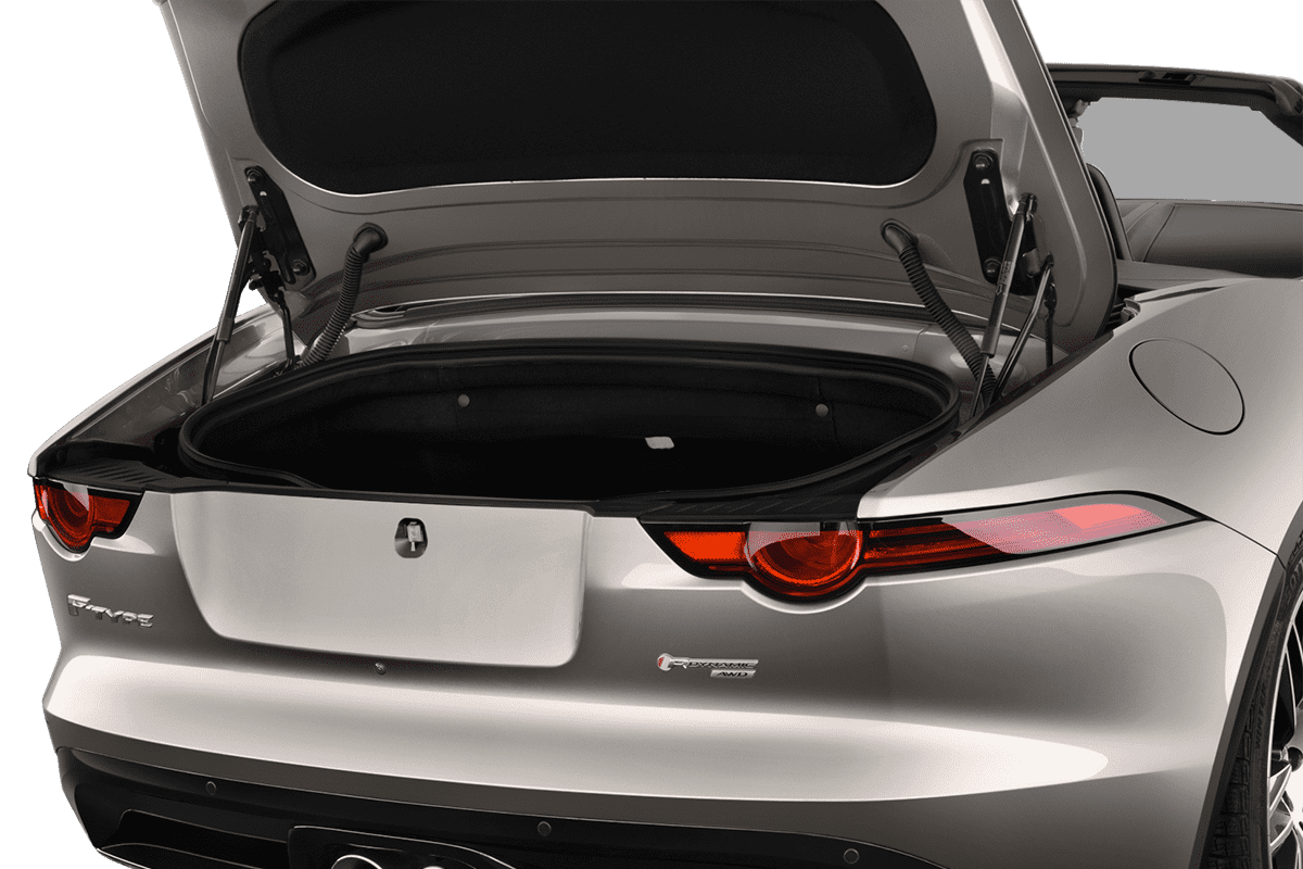 trunk