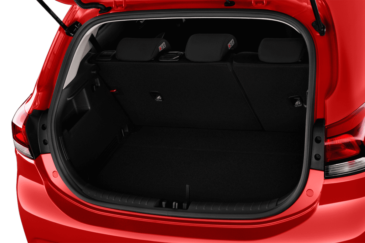 trunk