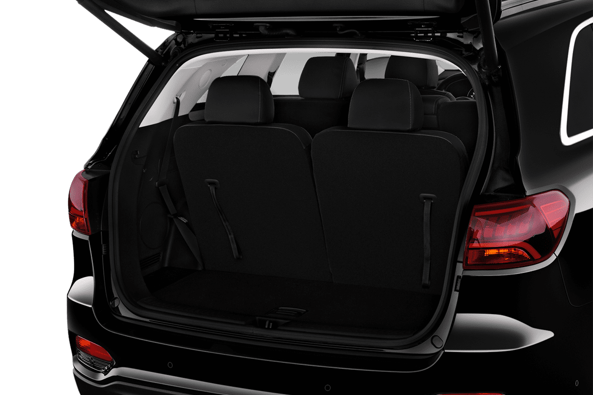 trunk