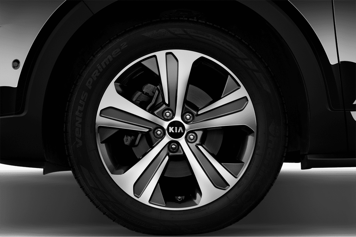 wheelcap