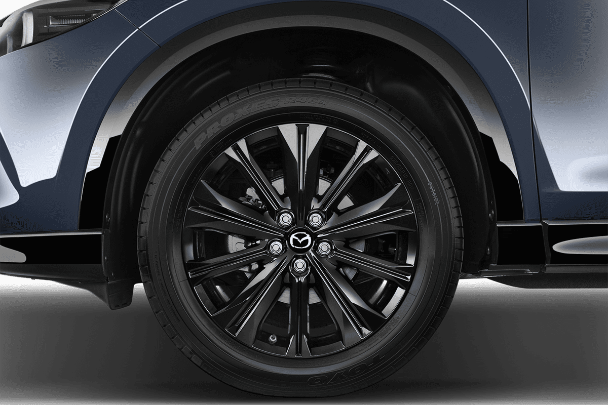 wheelcap
