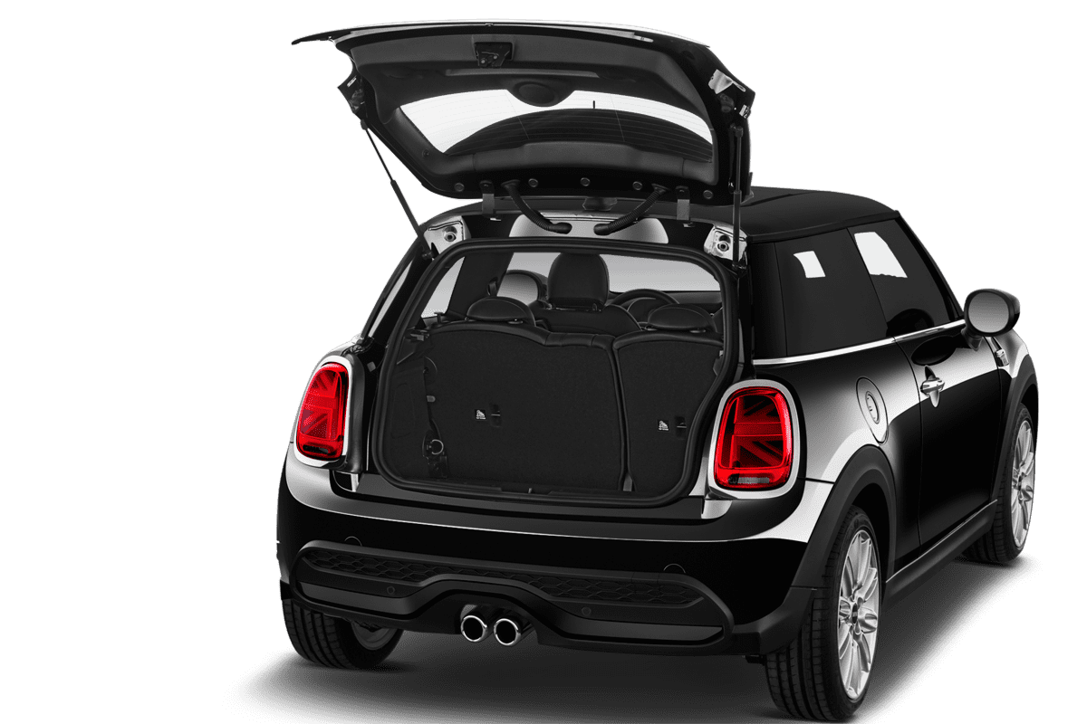 trunk