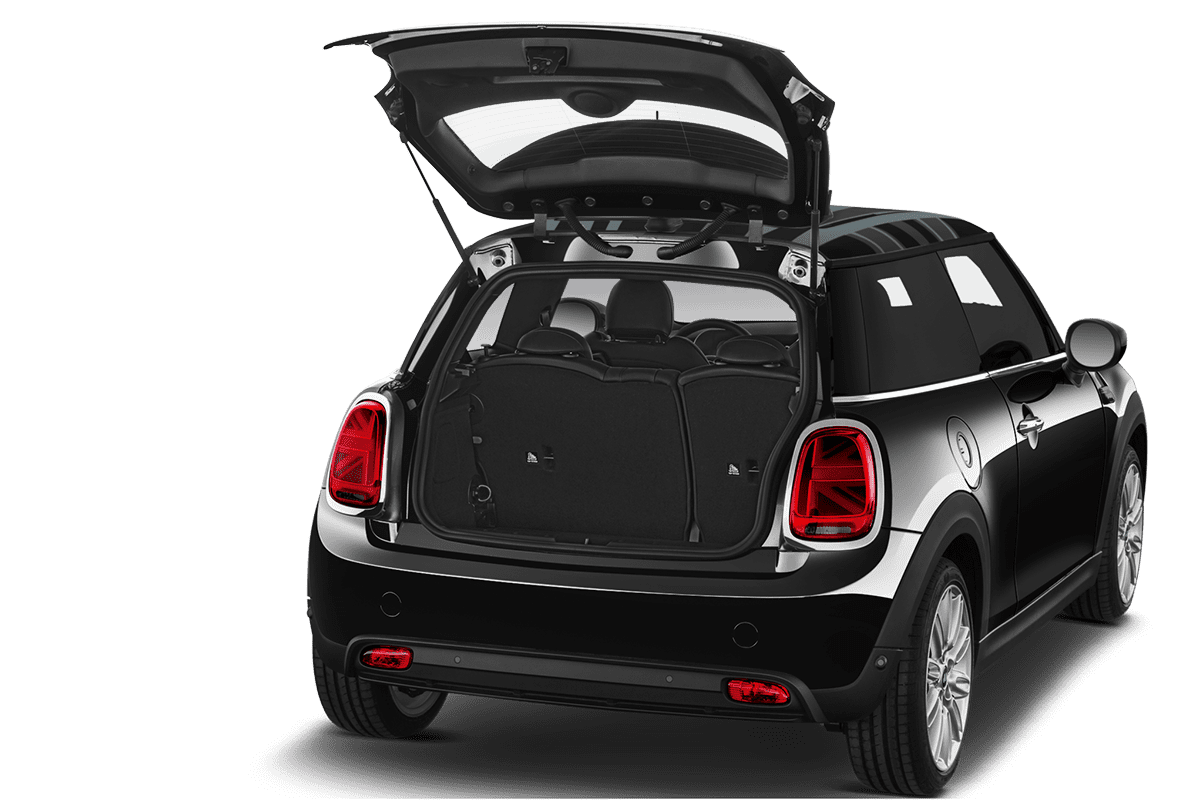 trunk