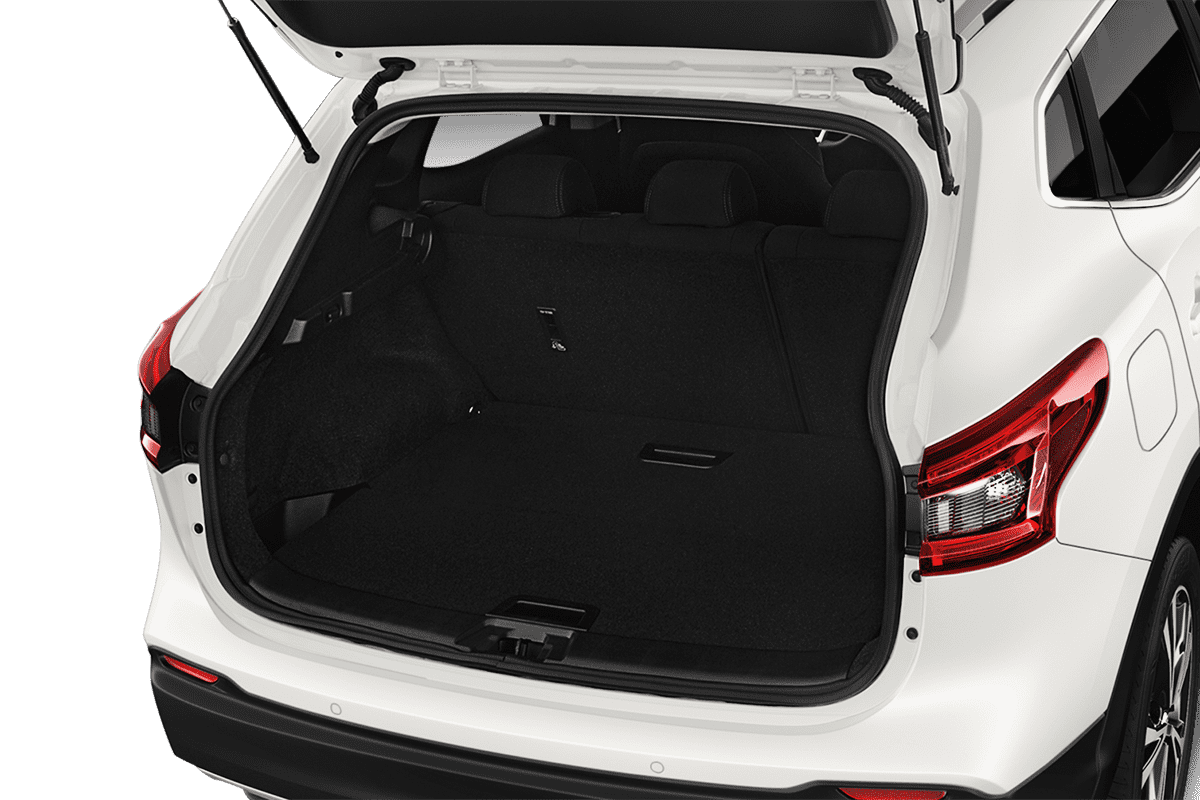 trunk