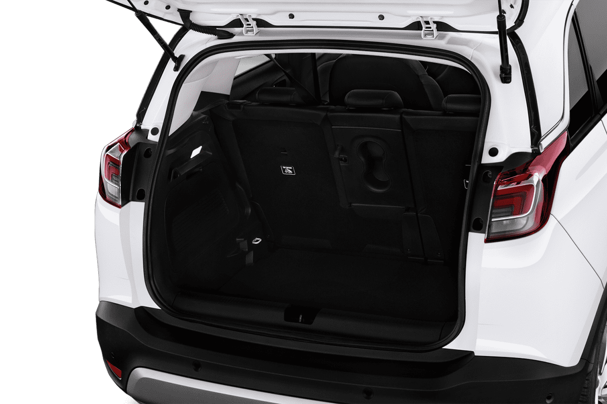 trunk
