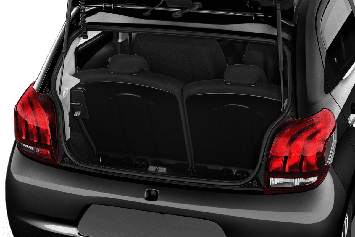 trunk