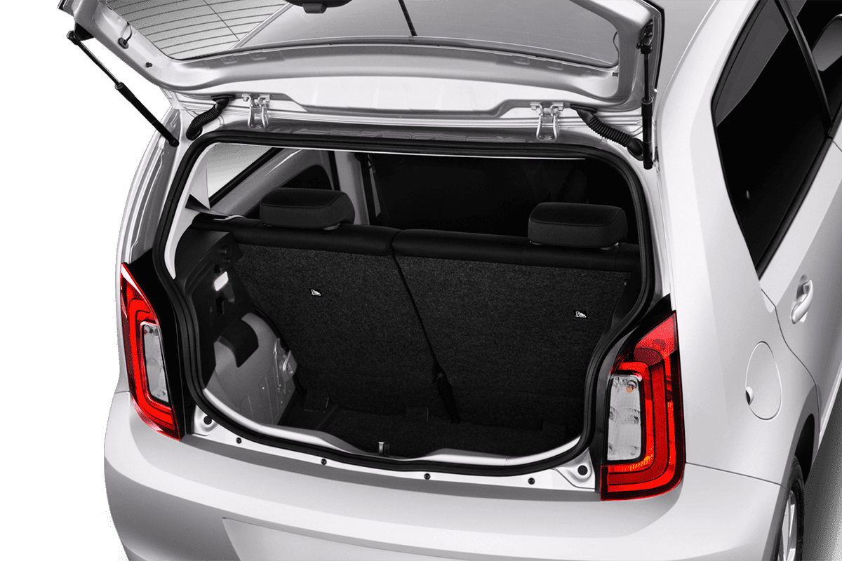 trunk
