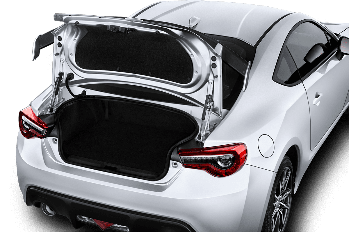 trunk