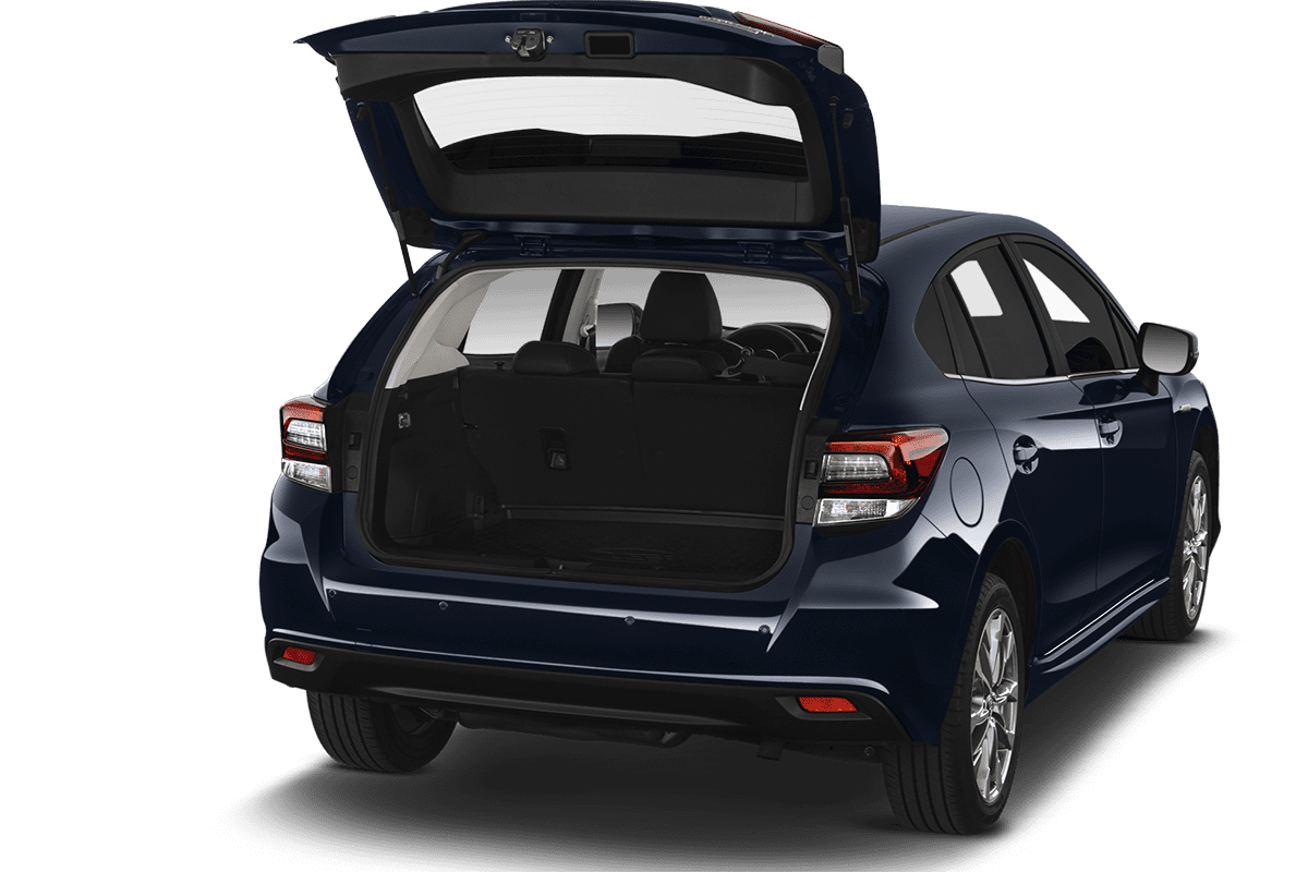 trunk