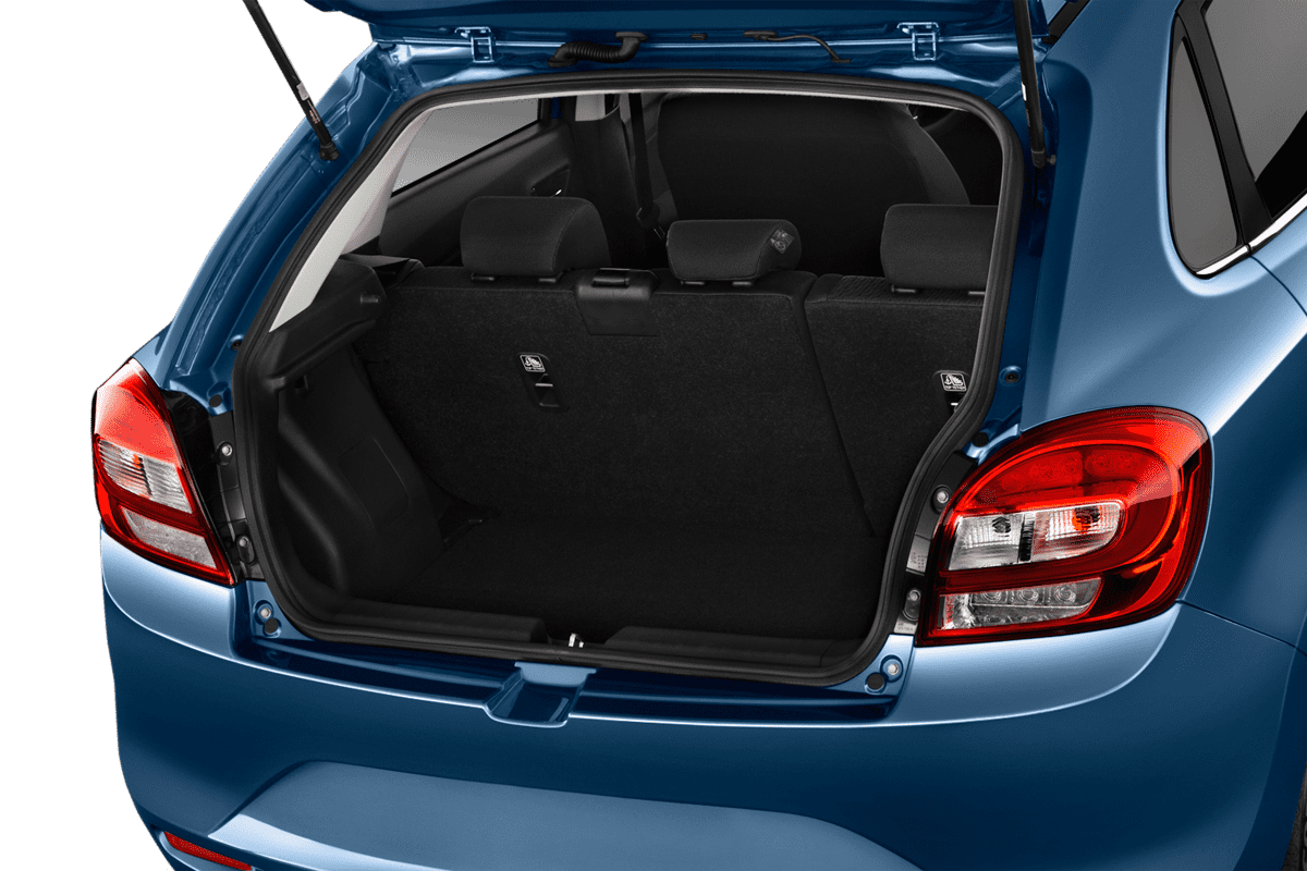 trunk
