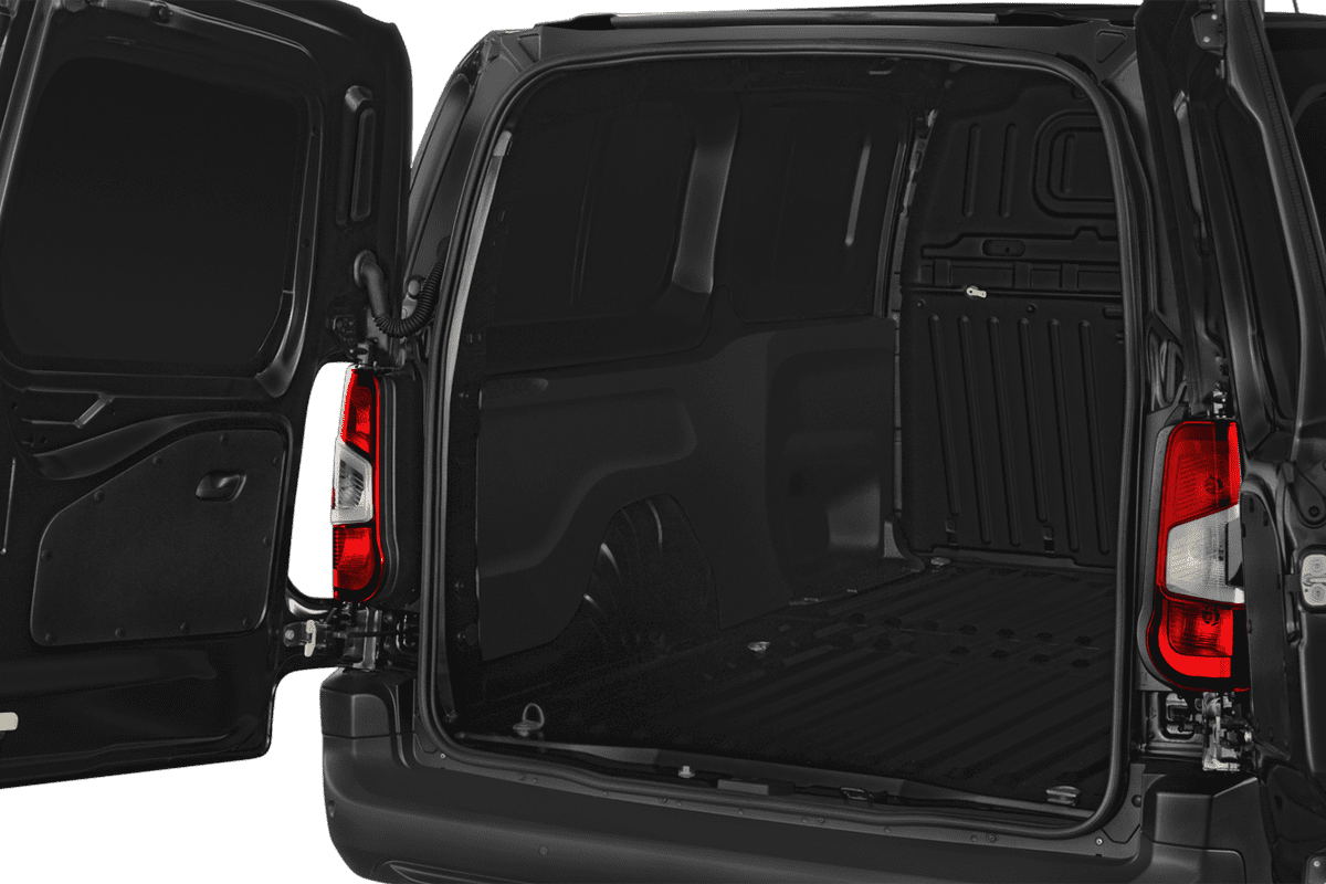 trunk