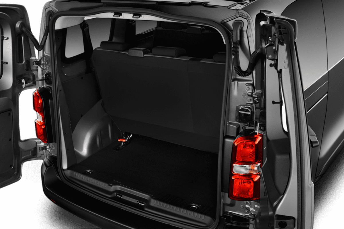 trunk