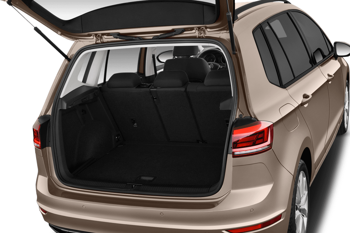 trunk