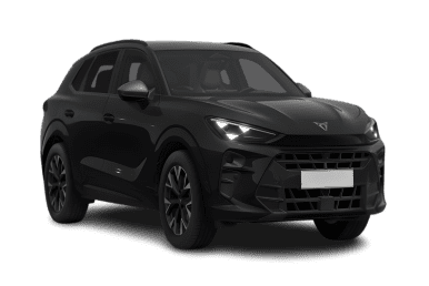 Bildvorschau von dem Cupra Terramar.