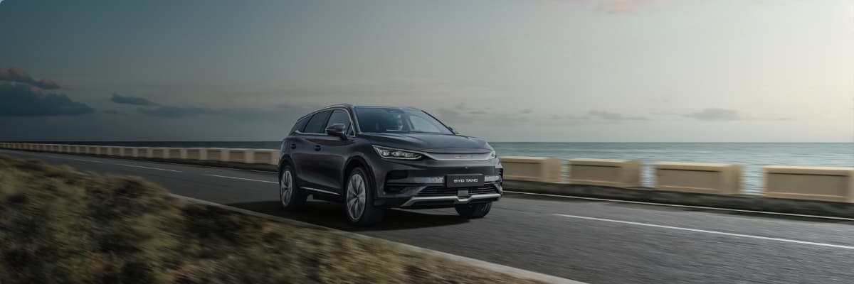 BYD Tang von vorne
