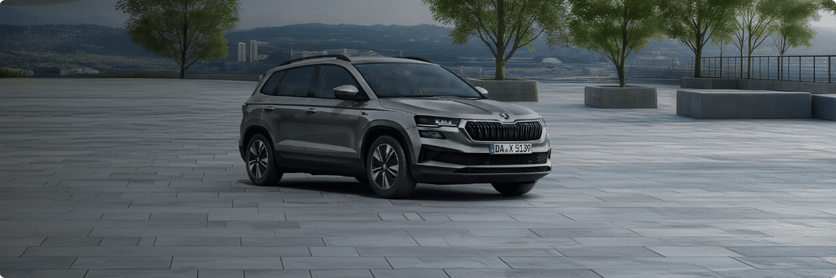 Skoda Karoq Balance von vorne