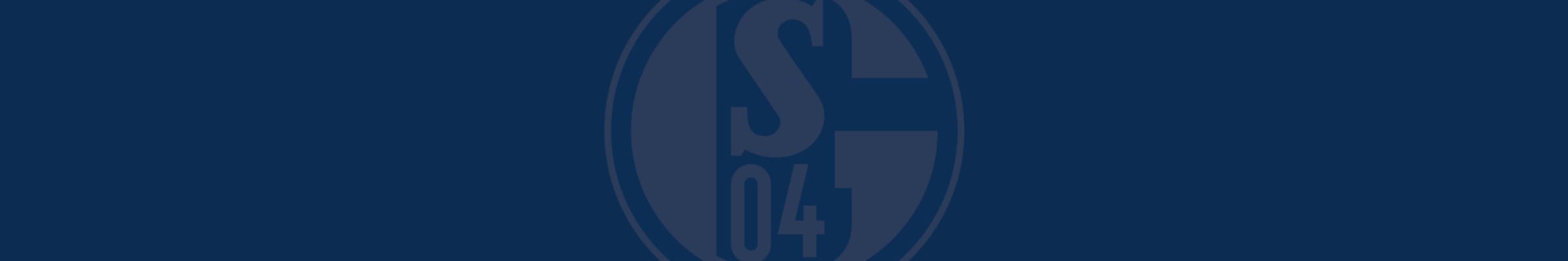 Schalke Logo Banner
