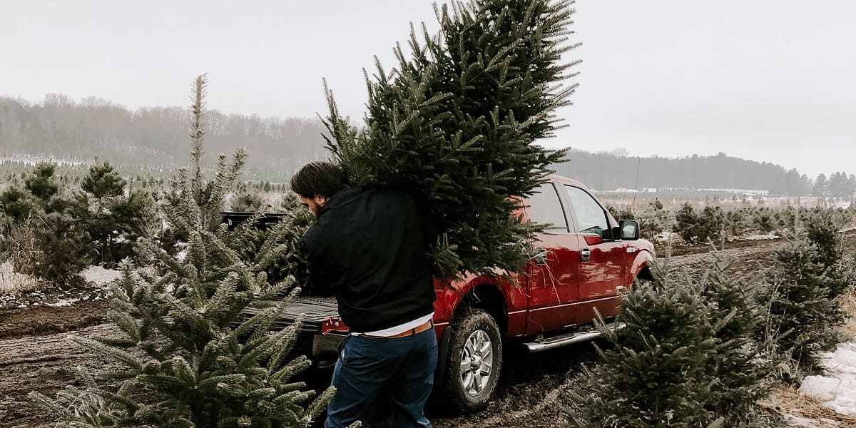 Weihnachtsbaum transportieren