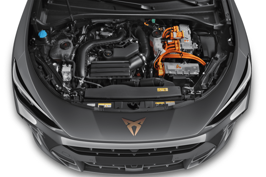 Cupra Terramar  undefined