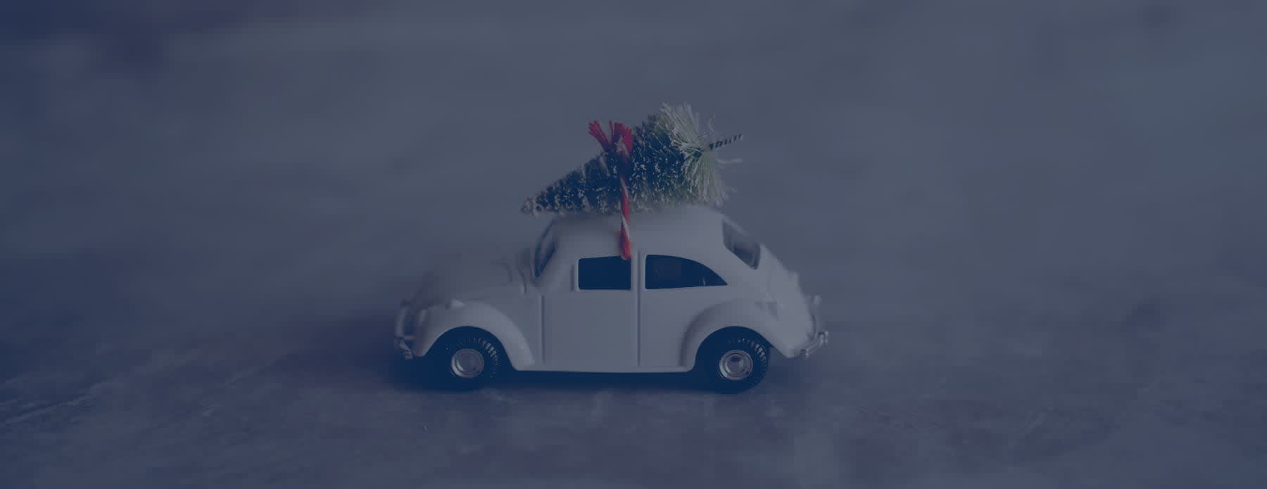 Weihnachtsbaum auf dem Autodach transportieren