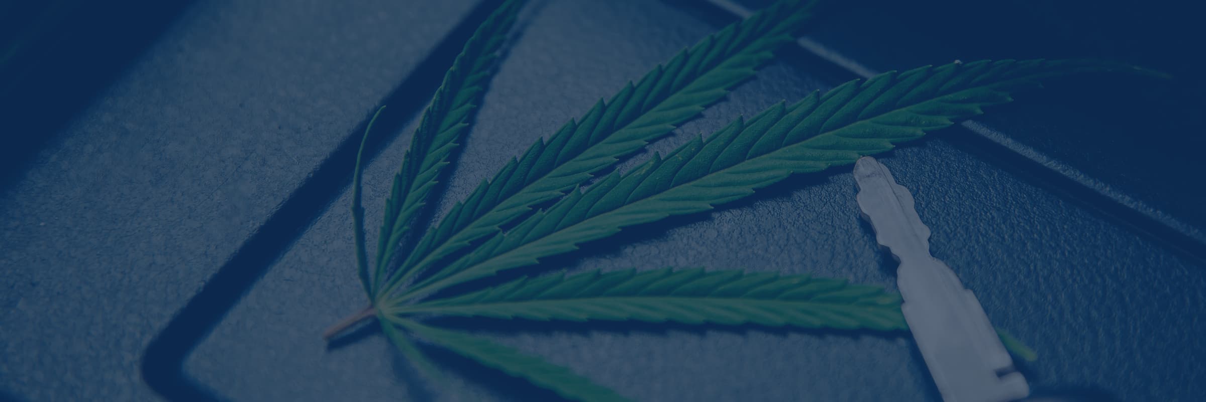 Header Cannabis Auto Schlüssel