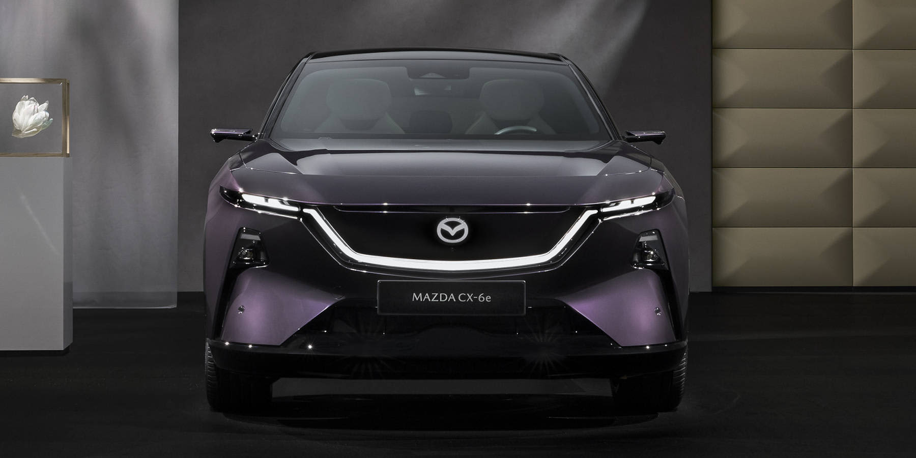 Mazda CX-6e Frontansicht Totale