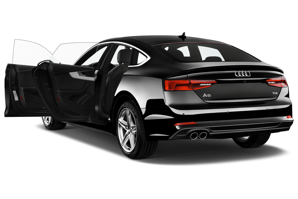 Türen eines Audi A5 Sportback g-tron