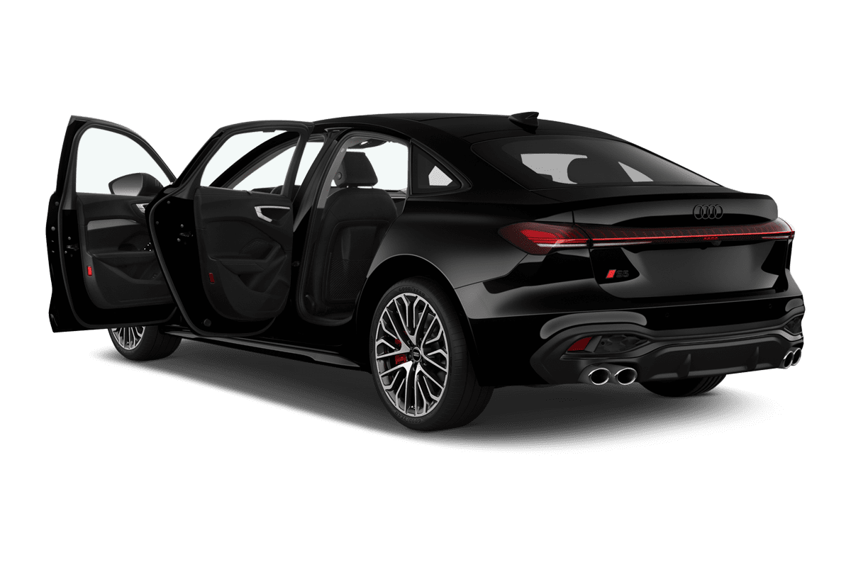 Türen eines Audi S5 Limousine 