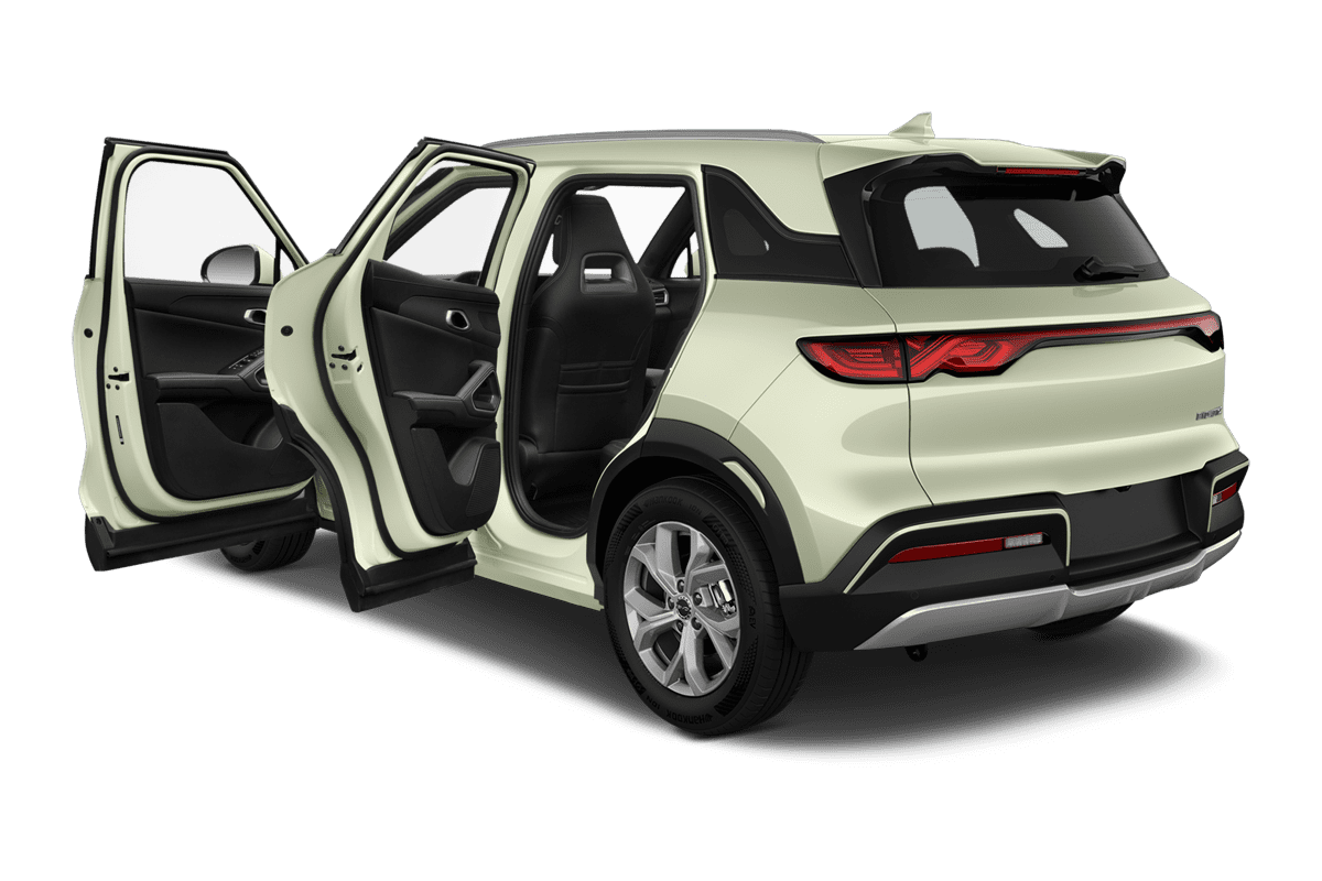 Türen eines BYD Atto 2