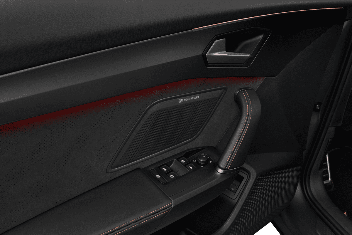 Türsteuerung eines Cupra Leon VZ