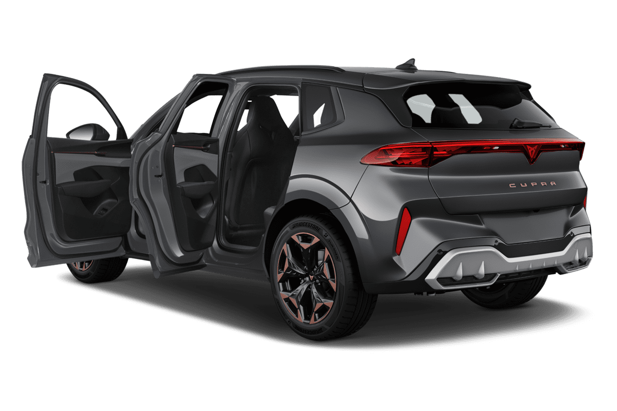 Türen eines Cupra Terramar Plug-in-Hybrid 