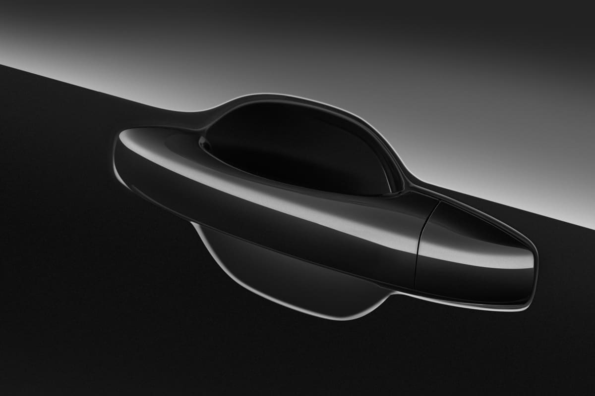 Türgriff eines Dacia Sandero Stepway