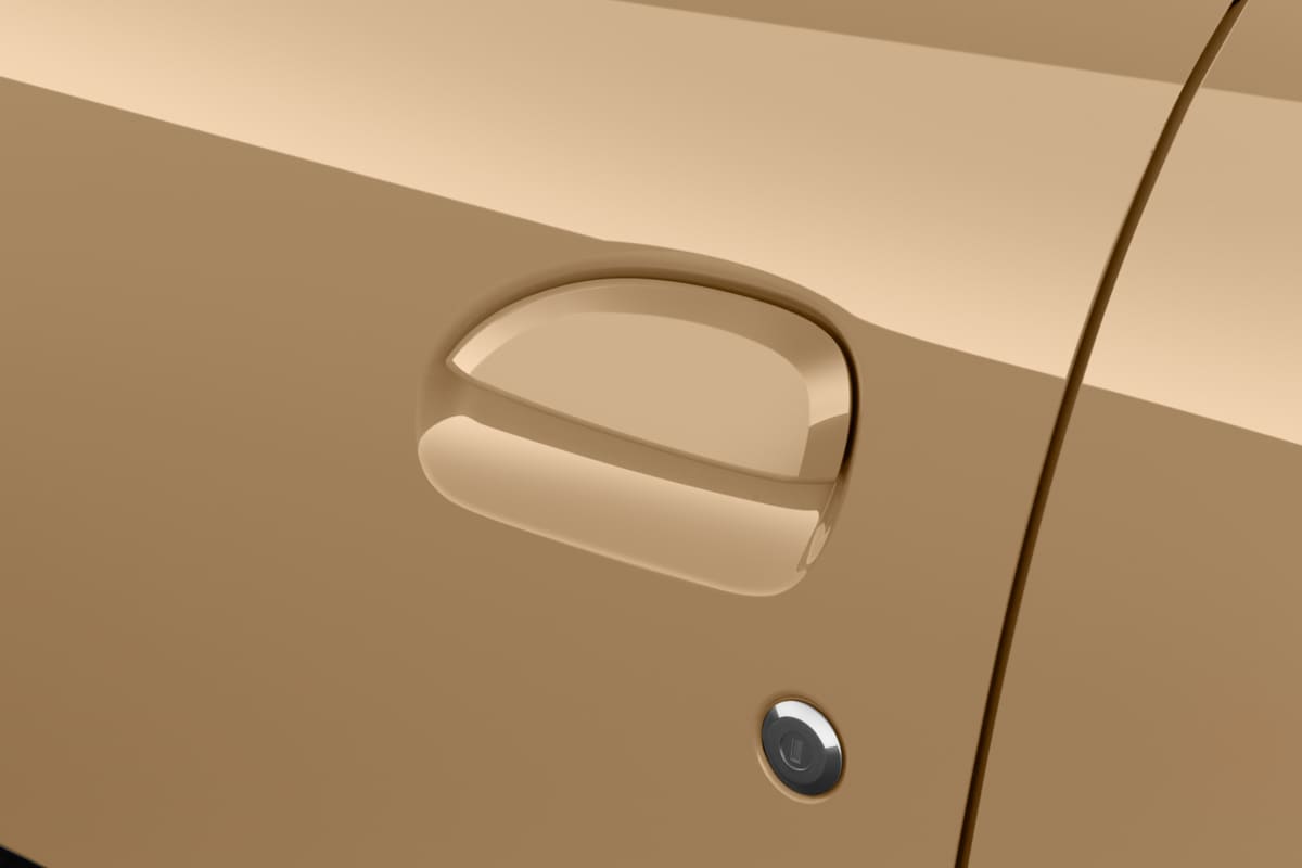 Türgriff eines Dacia Spring